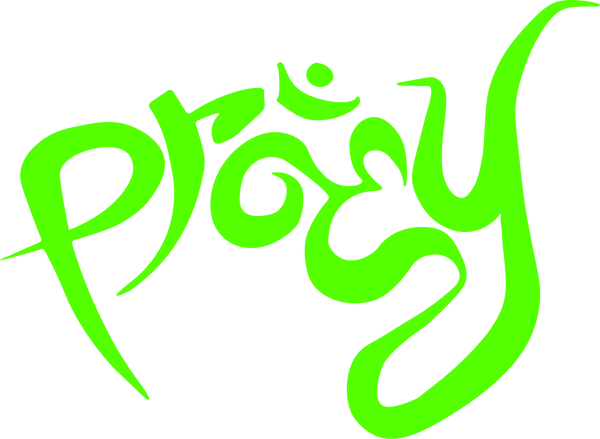 PRAEY logo